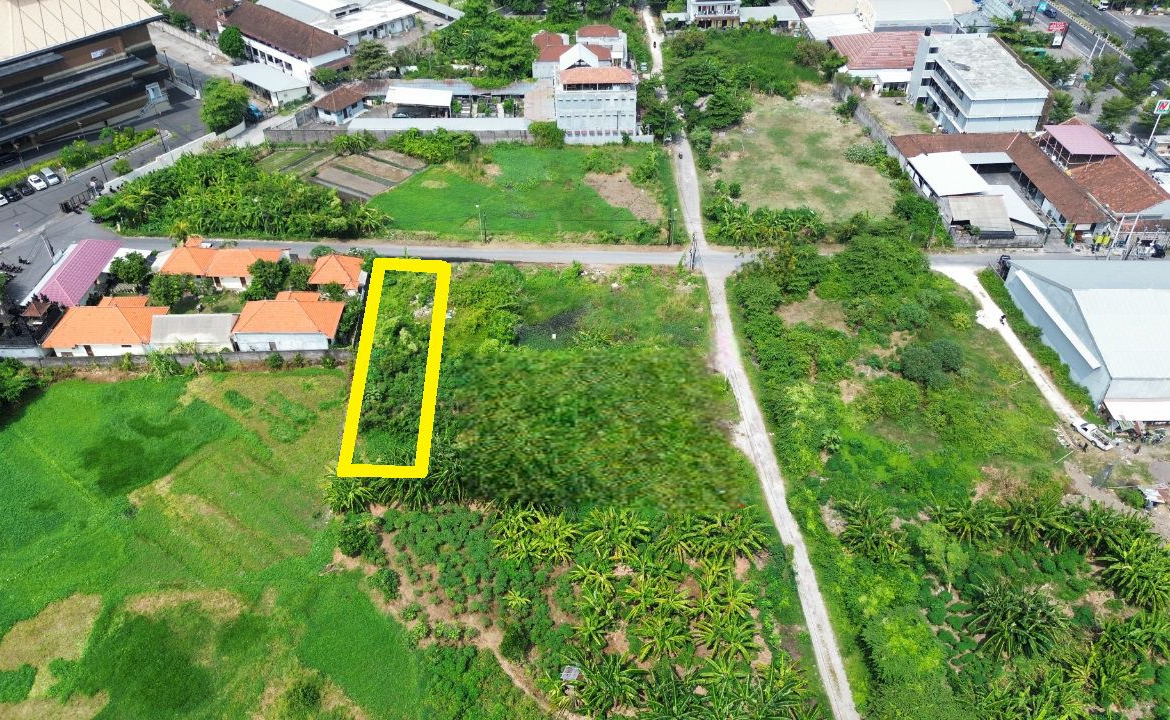 WhatsApp Image 2025 02 04 at 4.08.57 PM