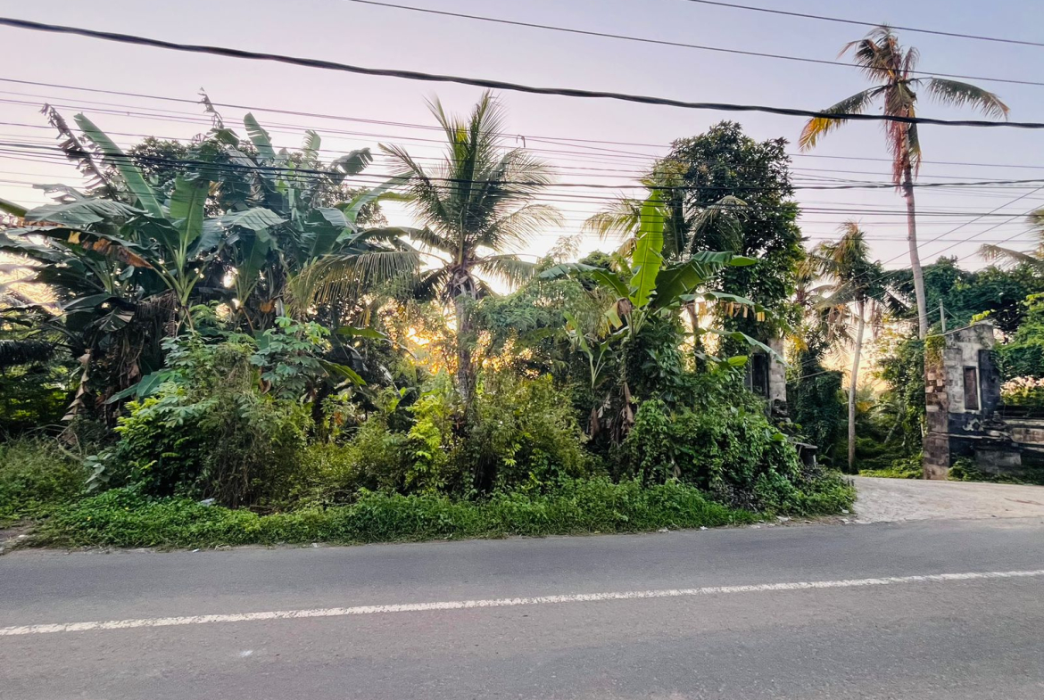 WhatsApp Image 2025 05 08 at 11.36.59 AM 1