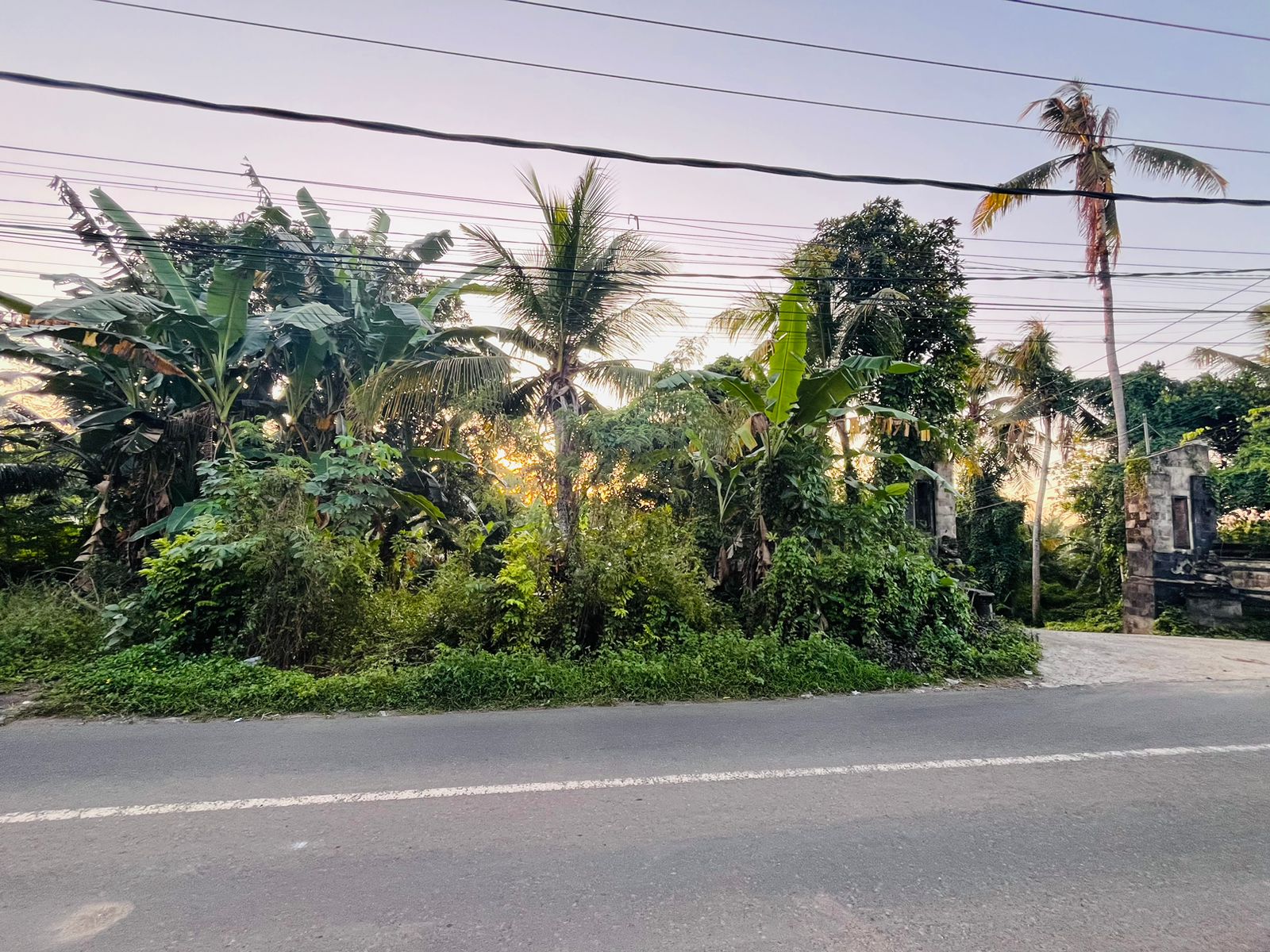 WhatsApp Image 2025 05 08 at 11.36.59 AM 1