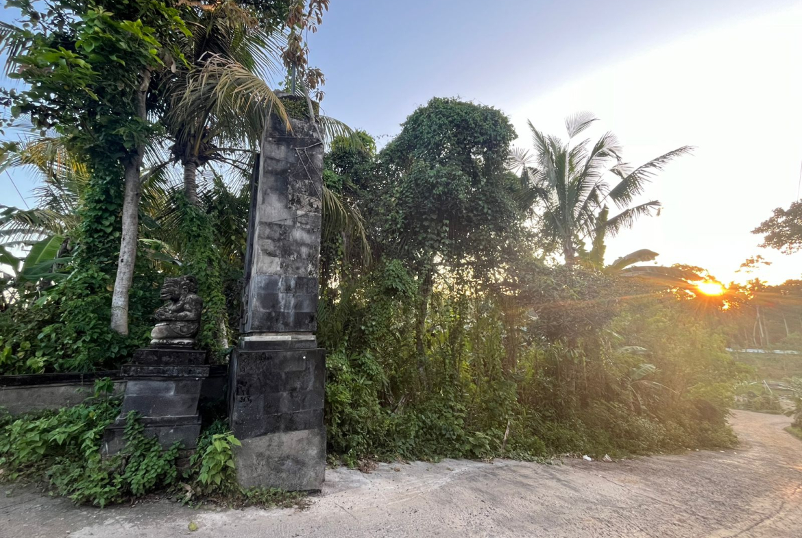 WhatsApp Image 2025 05 08 at 11.36.59 AM 2