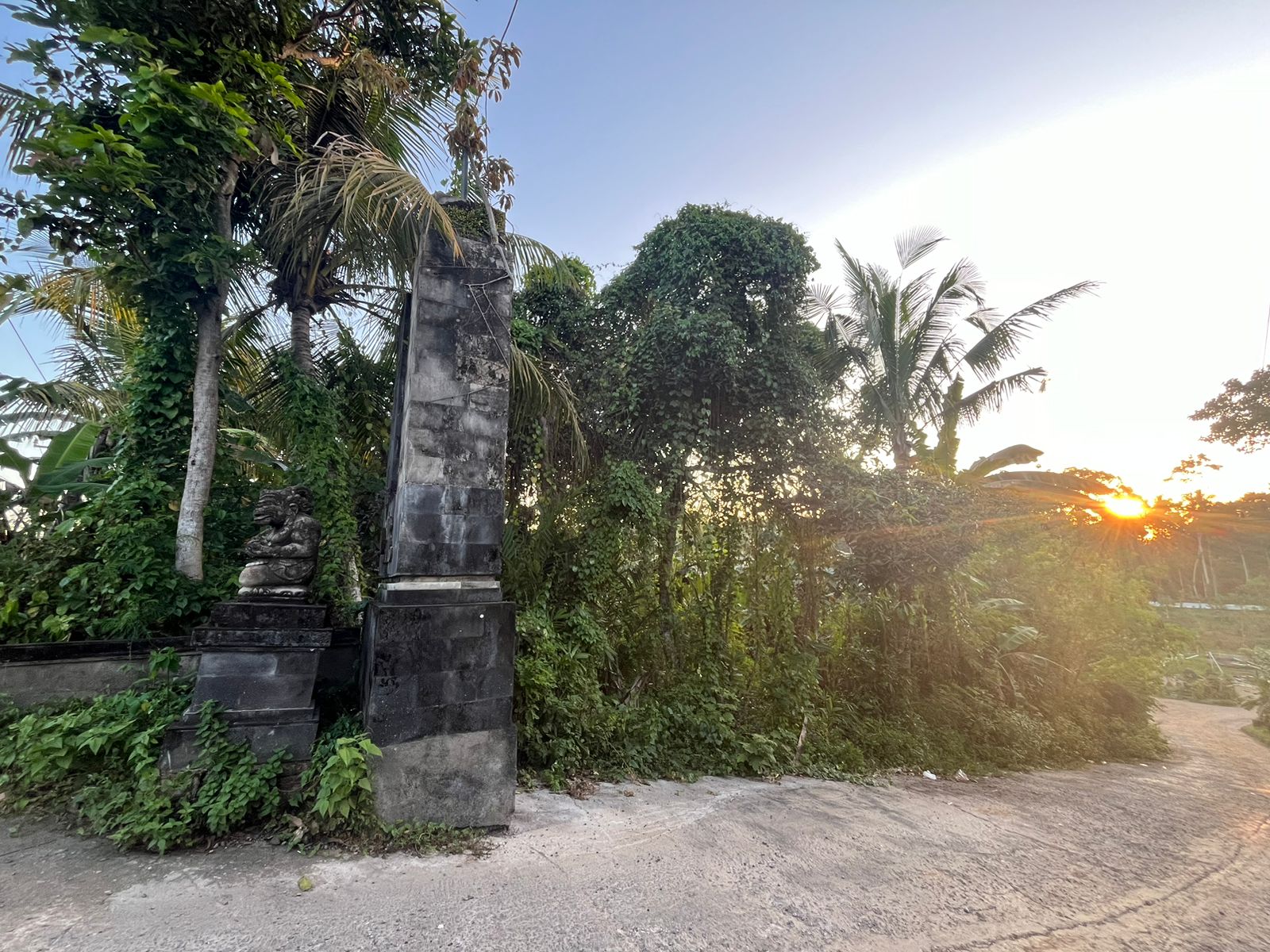 WhatsApp Image 2025 05 08 at 11.36.59 AM 2