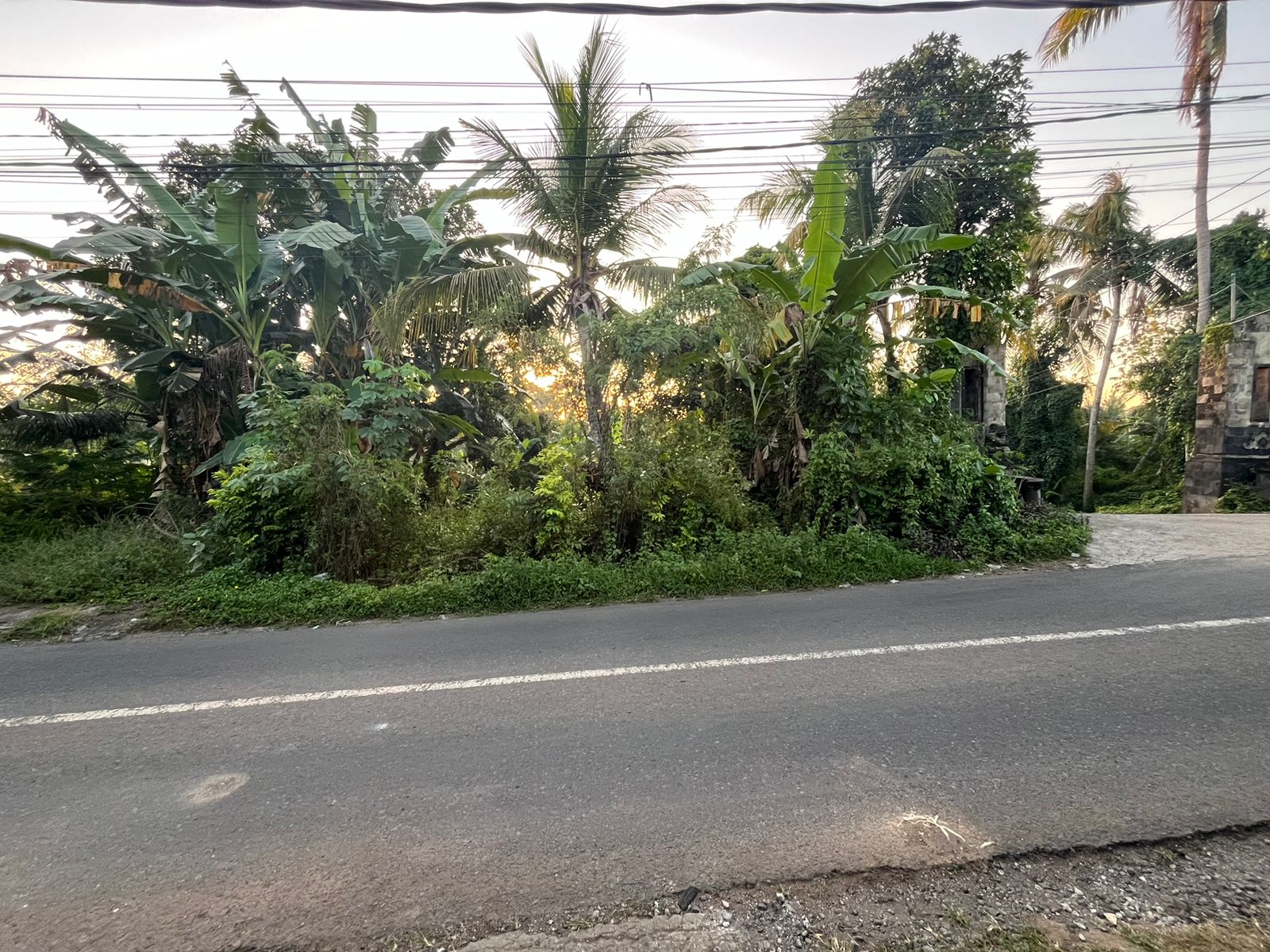 WhatsApp Image 2025 05 08 at 11.36.59 AM