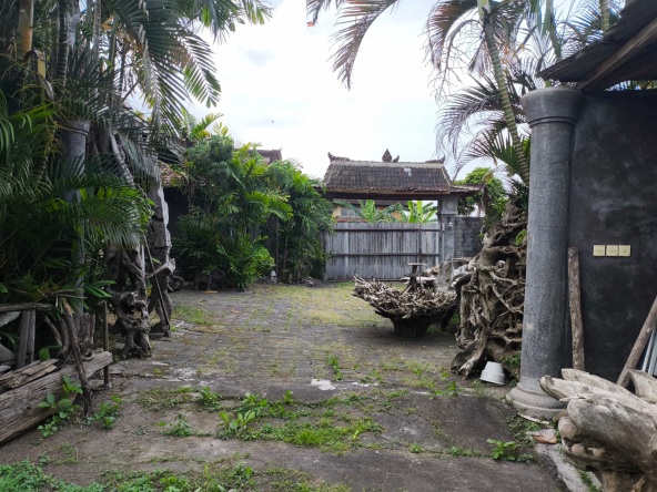 WhatsApp Image 2025 05 14 at 12.05.04 PM 3