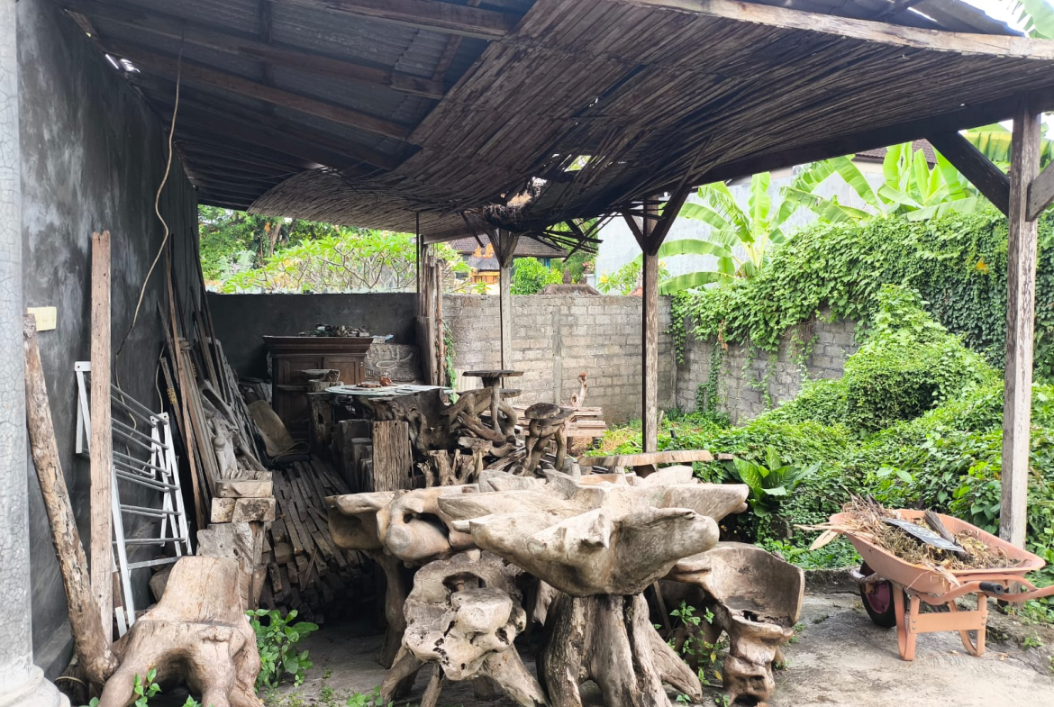 WhatsApp Image 2025 05 14 at 12.05.05 PM 1