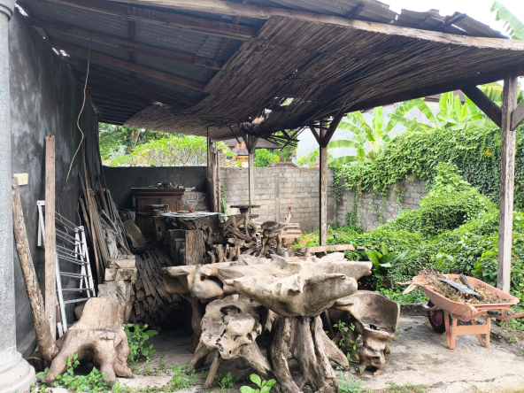 WhatsApp Image 2025 05 14 at 12.05.05 PM 1