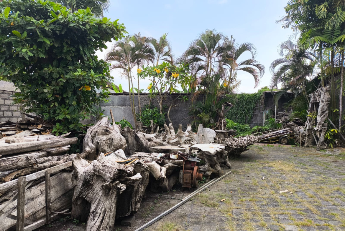 WhatsApp Image 2025 05 14 at 12.05.05 PM 2