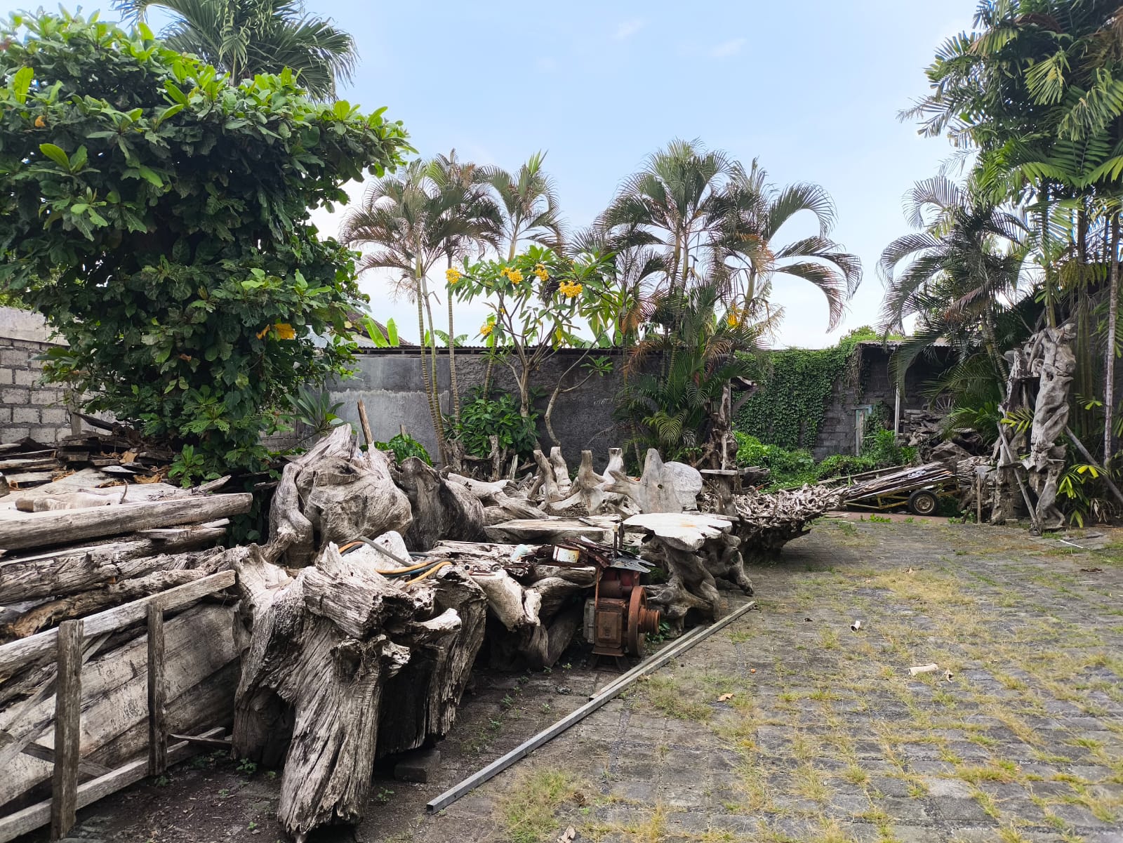 WhatsApp Image 2025 05 14 at 12.05.05 PM 2