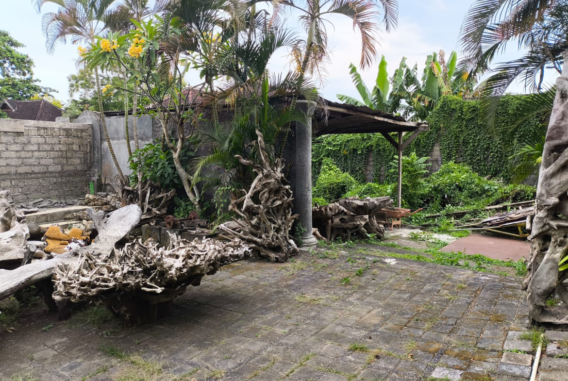 WhatsApp Image 2025 05 14 at 12.05.05 PM 3