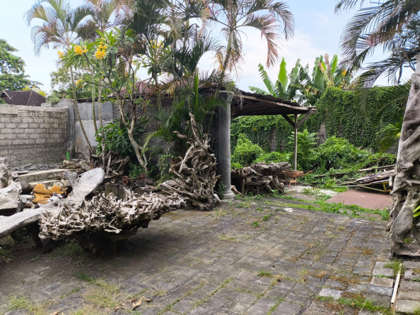 WhatsApp Image 2025 05 14 at 12.05.05 PM 3