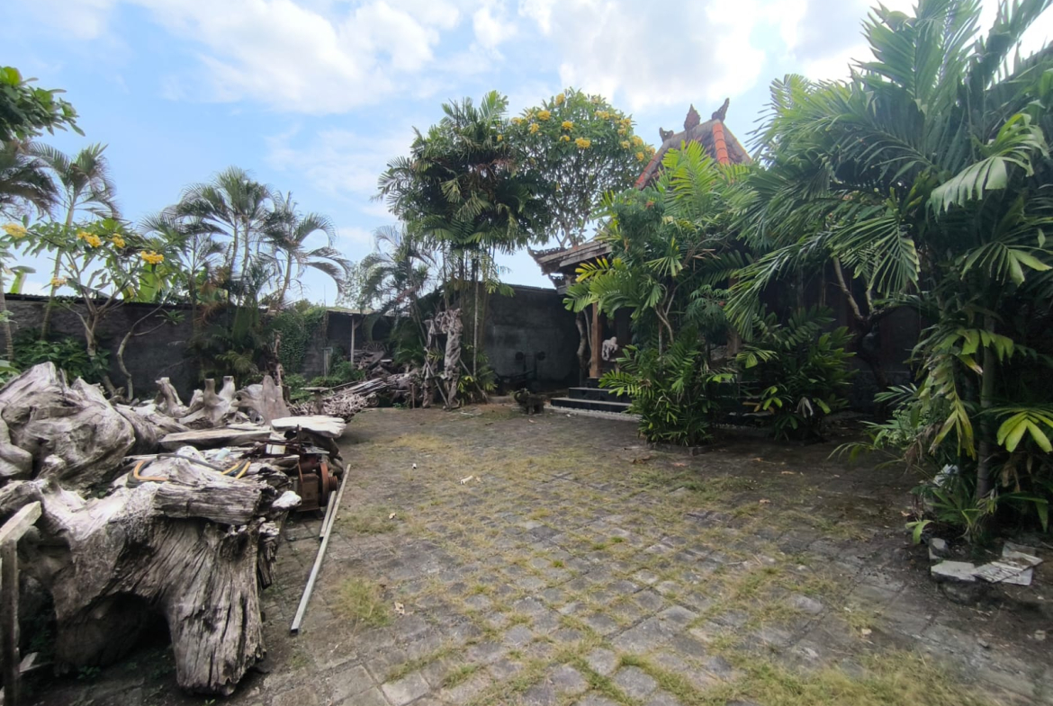 WhatsApp Image 2025 05 14 at 12.07.33 PM 3