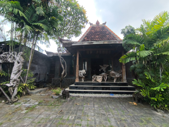 WhatsApp Image 2025 05 14 at 12.07.34 PM