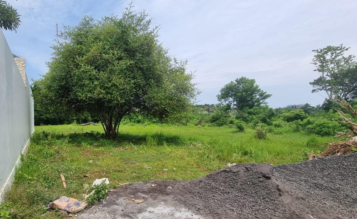 WhatsApp Image 2025 05 16 at 15.40.20