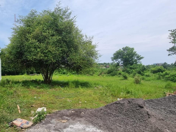 WhatsApp Image 2025 05 16 at 15.40.20