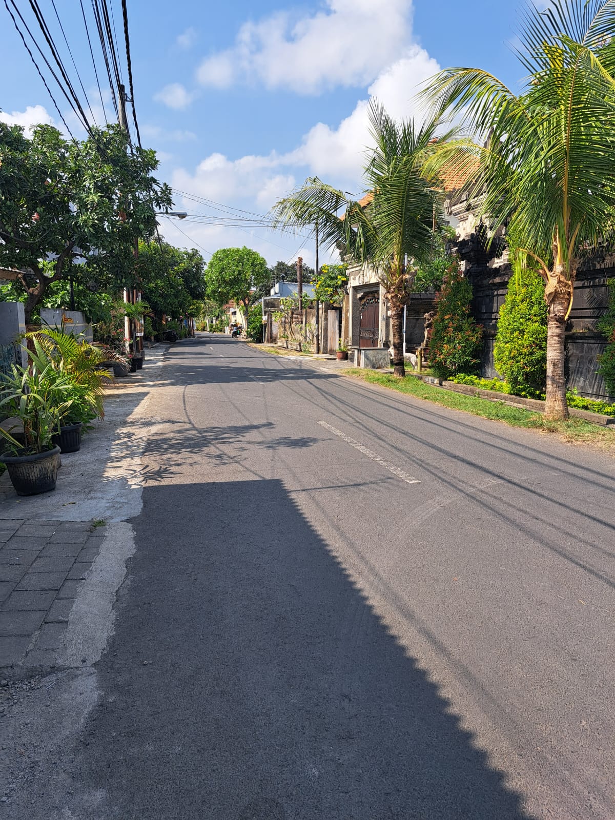 WhatsApp Image 2025 05 21 at 11.48.09 1