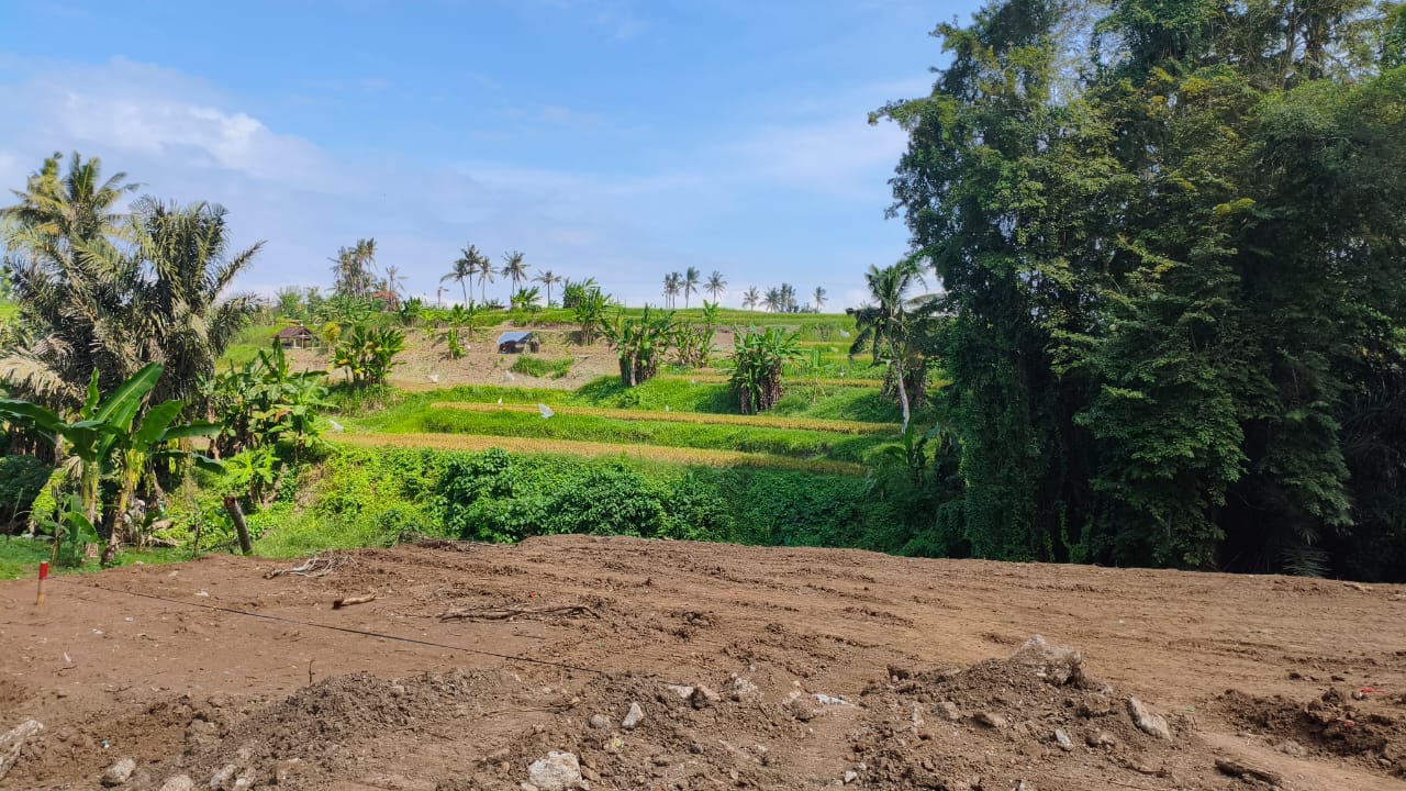 WhatsApp Image 2025 05 23 at 13.15.32 1