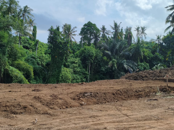 WhatsApp Image 2025 05 23 at 13.15.33