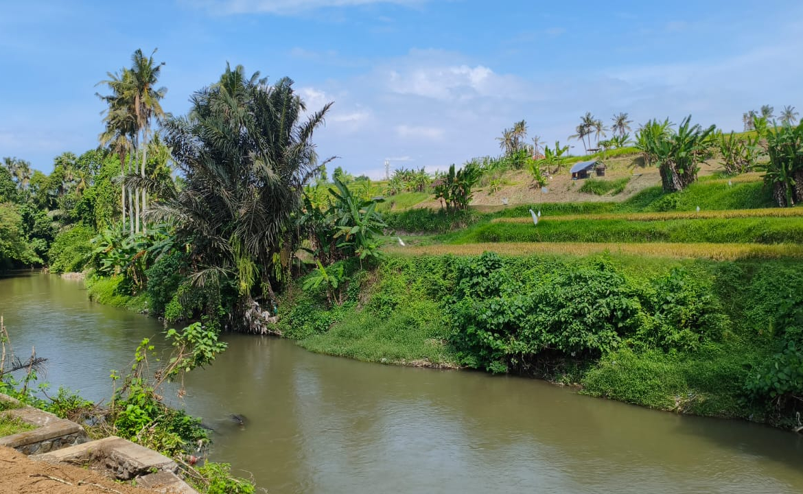 WhatsApp Image 2025 05 23 at 13.15.34 1