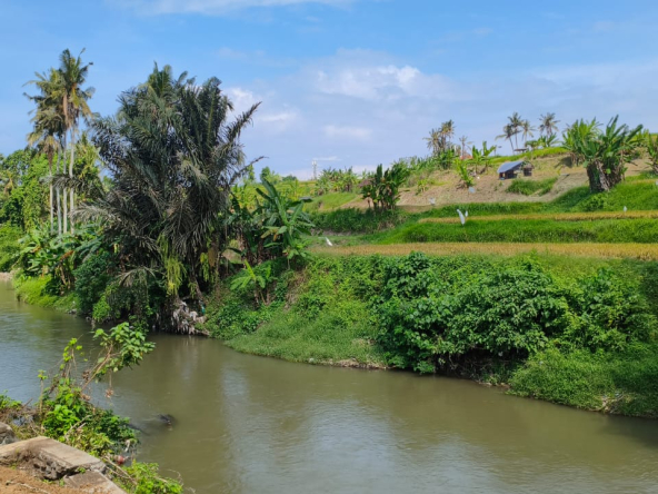 WhatsApp Image 2025 05 23 at 13.15.34 1