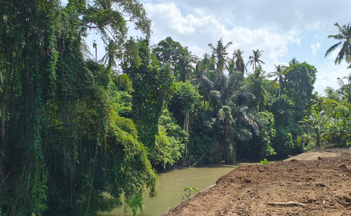 WhatsApp Image 2025 05 23 at 13.15.34 2