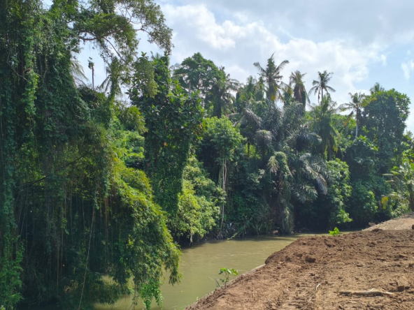 WhatsApp Image 2025 05 23 at 13.15.34 2