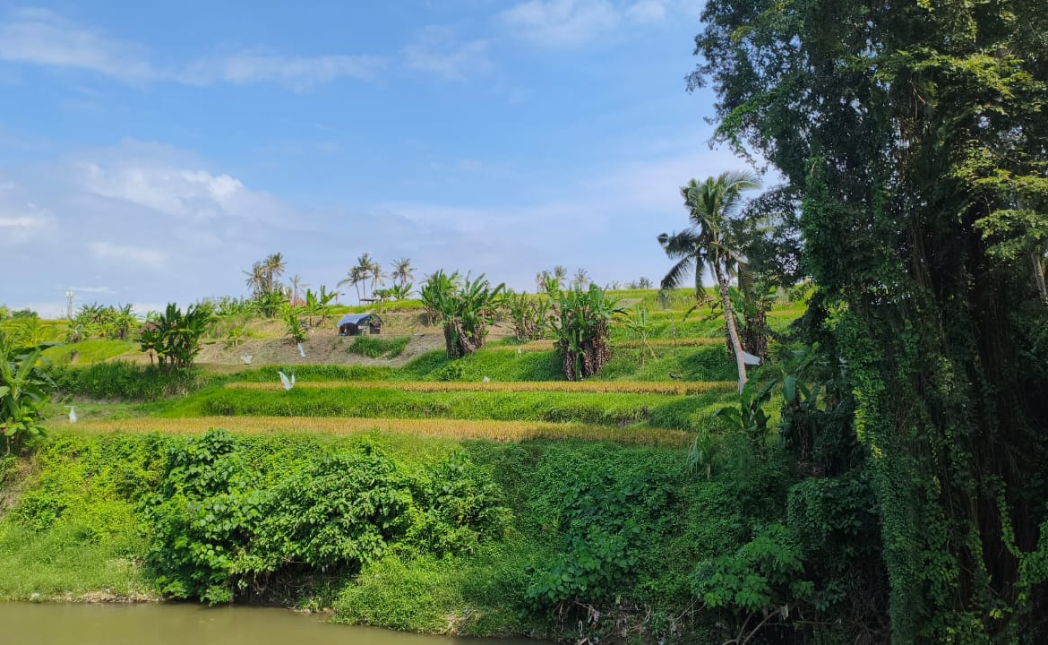 WhatsApp Image 2025 05 23 at 13.15.35