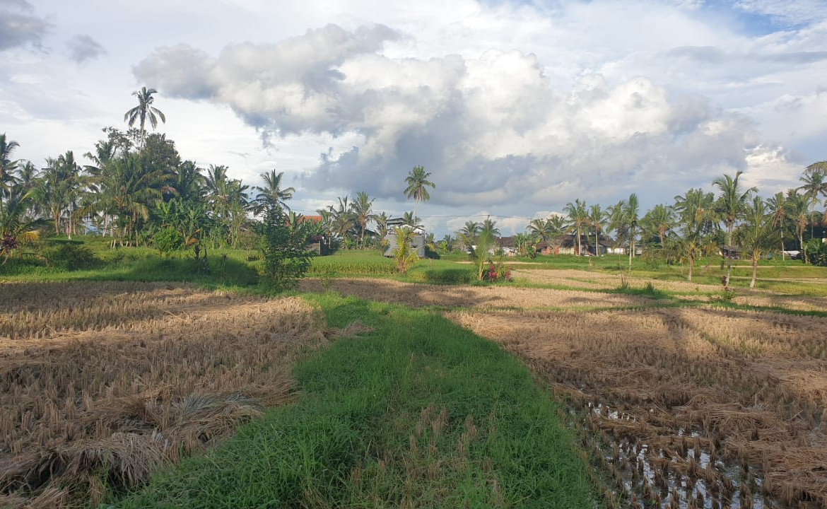 WhatsApp Image 2025 06 19 at 12.53.57 1