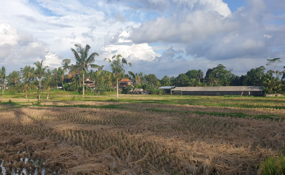 WhatsApp Image 2025 06 19 at 12.53.58