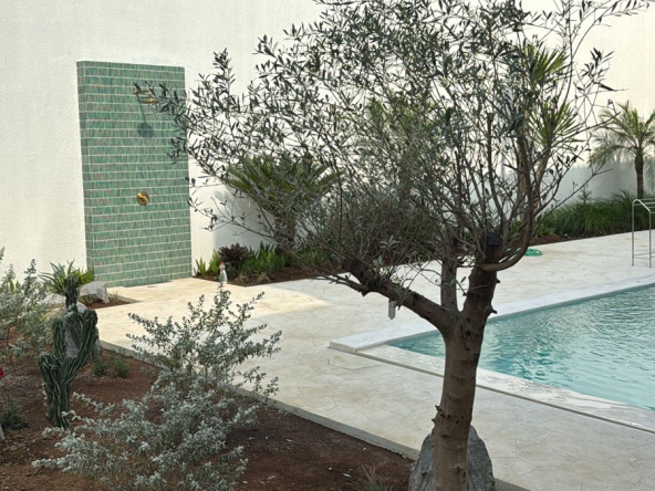 WhatsApp Image 2025 06 21 at 15.38.50 1