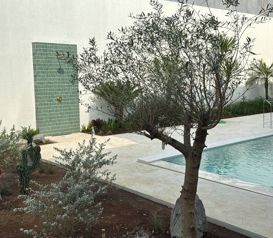 WhatsApp Image 2025 06 21 at 15.38.50 1