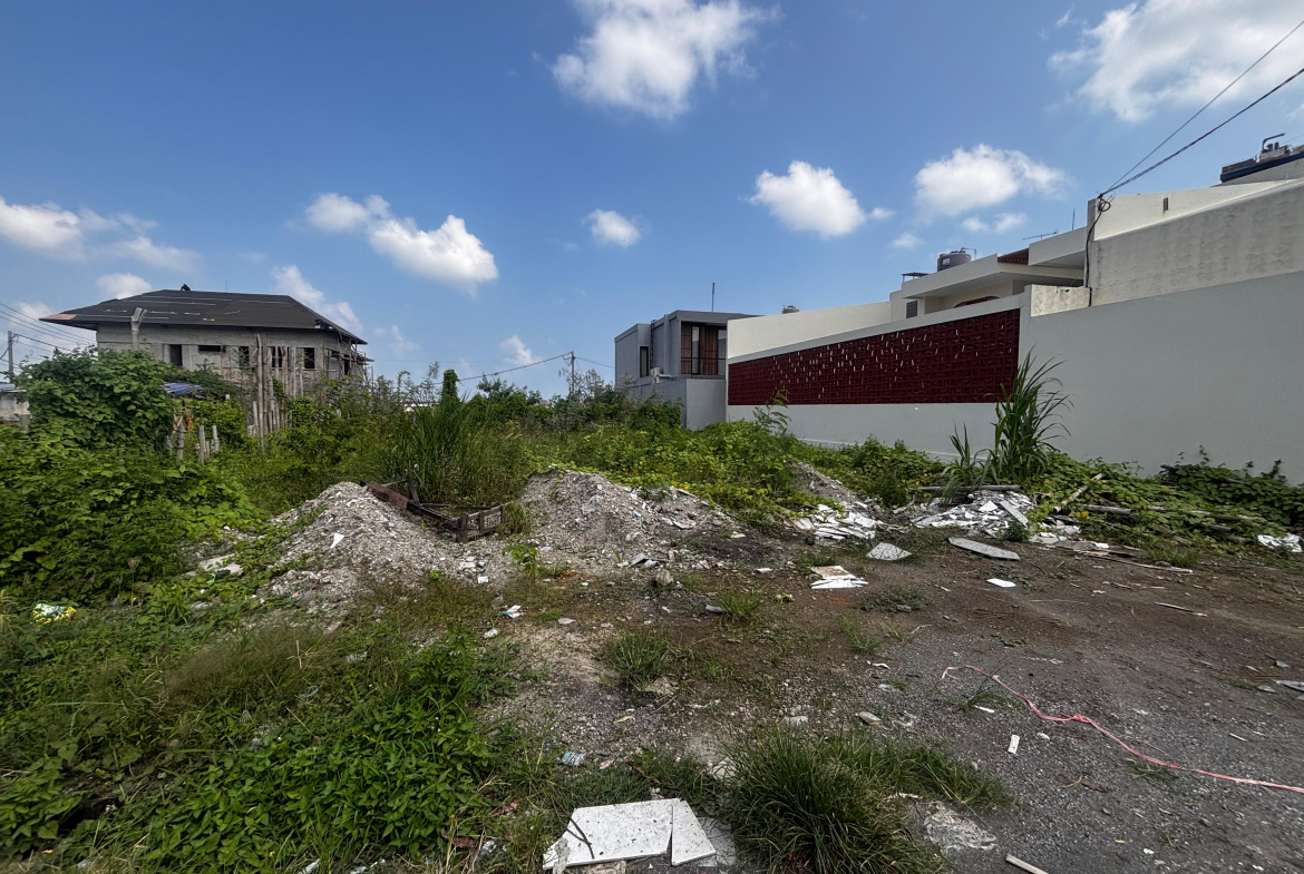 WhatsApp Image 2025 06 24 at 17.25.53 1