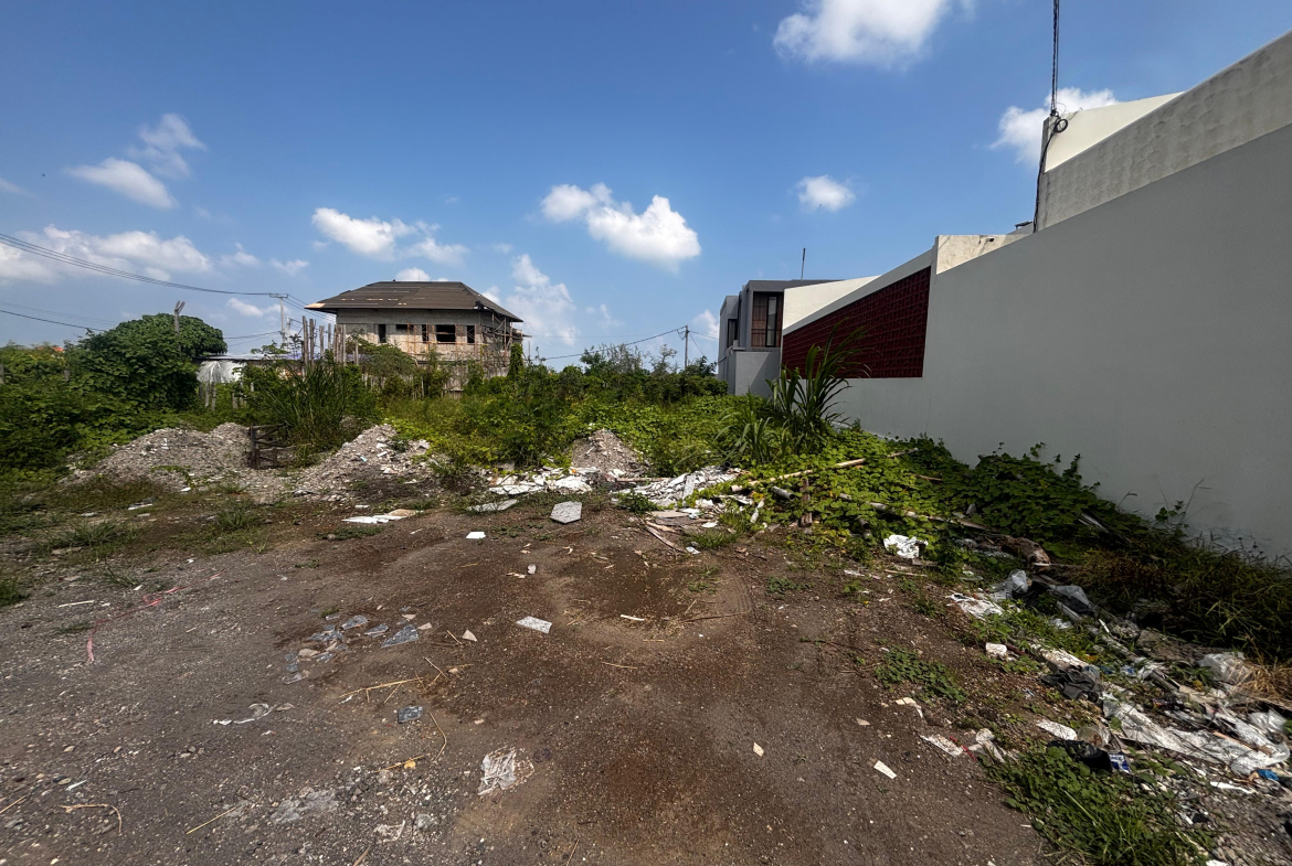 WhatsApp Image 2025 06 24 at 17.25.53 2