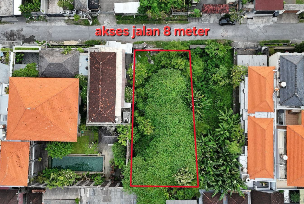 WhatsApp Image 2025 07 01 at 17.25.00