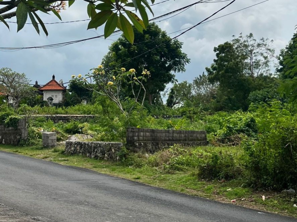 WhatsApp Image 2025 07 13 at 21.47.04