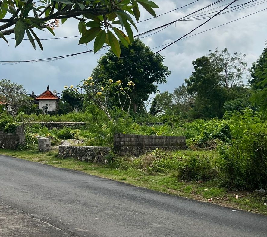 WhatsApp Image 2025 07 13 at 21.47.04