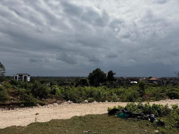 WhatsApp Image 2025 07 16 at 11.21.05