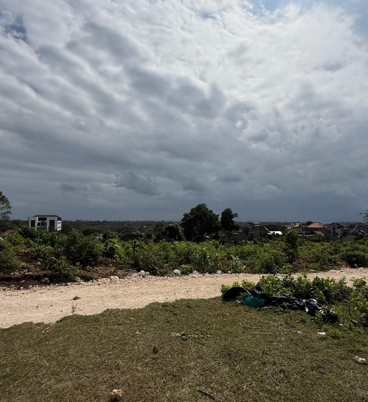 WhatsApp Image 2025 07 16 at 11.21.05