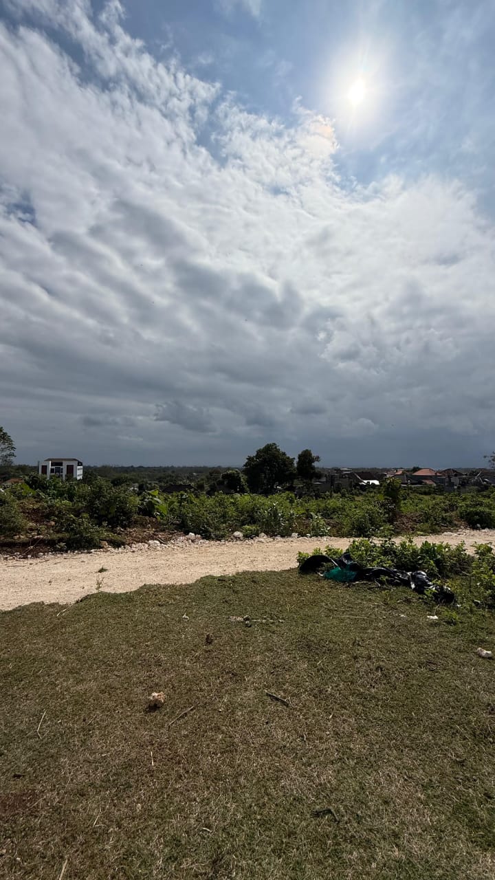 WhatsApp Image 2025 07 16 at 11.21.05