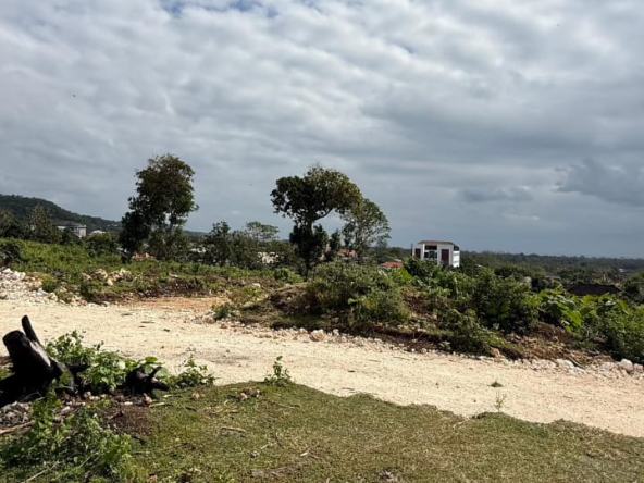 WhatsApp Image 2025 07 16 at 11.21.06 1