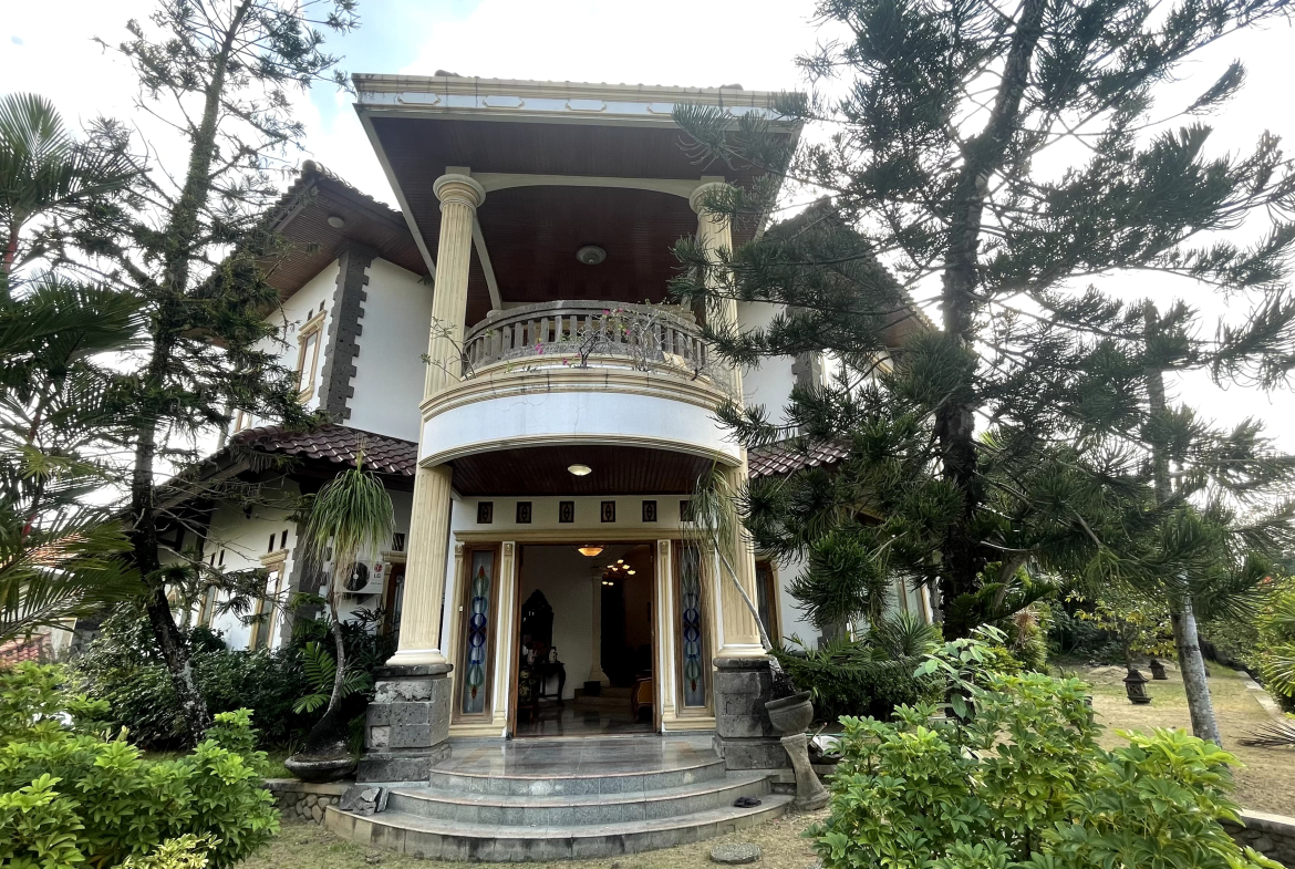 WhatsApp Image 2025 07 24 at 17.38.51