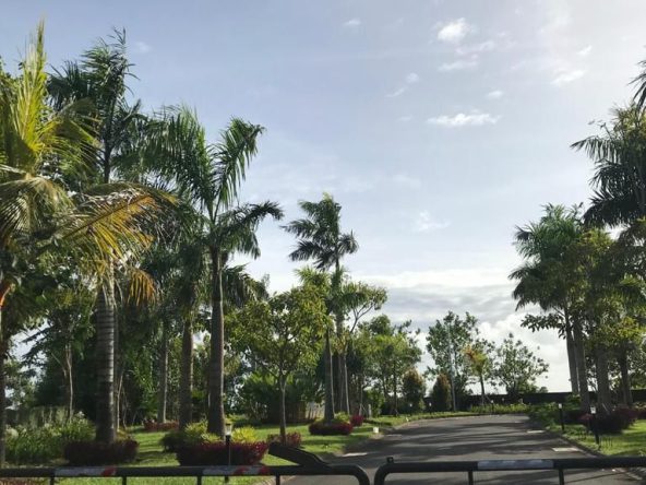 WhatsApp Image 2025 08 11 at 15.33.15 (1)