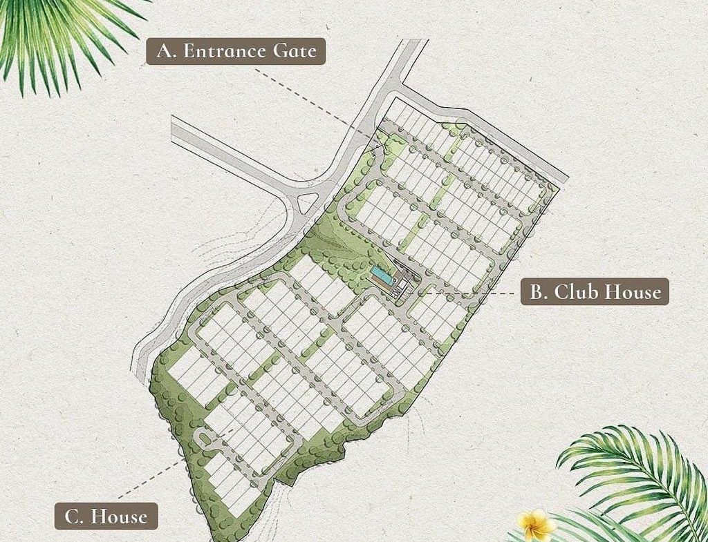 WhatsApp Image 2025 08 11 at 15.33.17