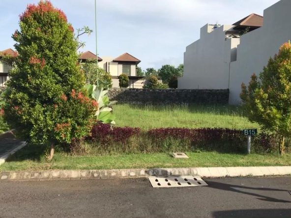 WhatsApp Image 2025 08 11 at 15.33.17 (2)