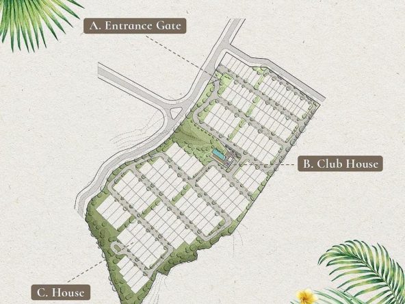 WhatsApp Image 2025 08 11 at 15.33.17