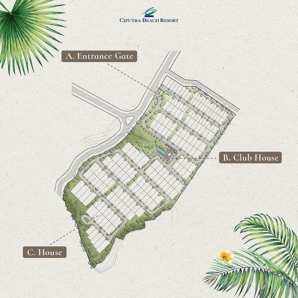 WhatsApp Image 2025 08 11 at 15.33.17