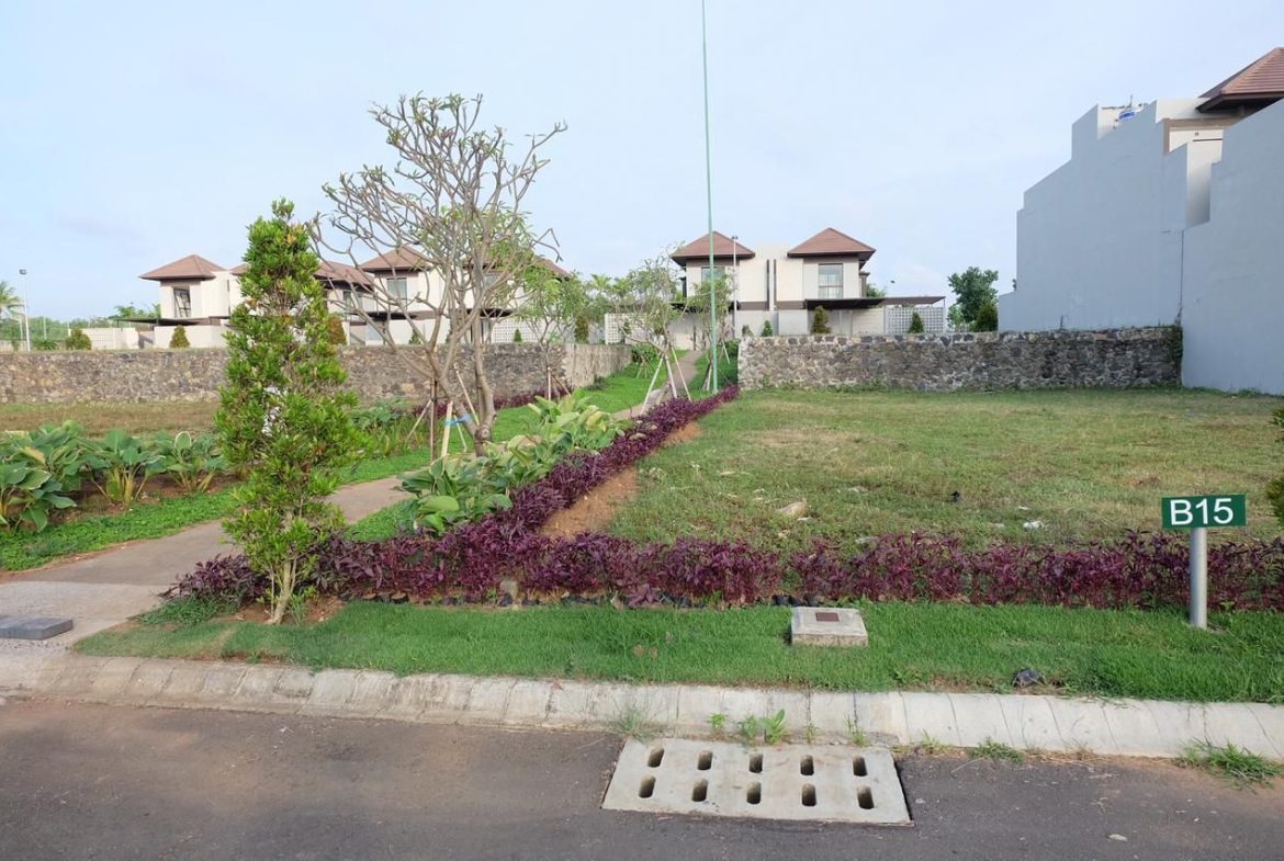 WhatsApp Image 2025 08 11 at 15.33.19 (1)