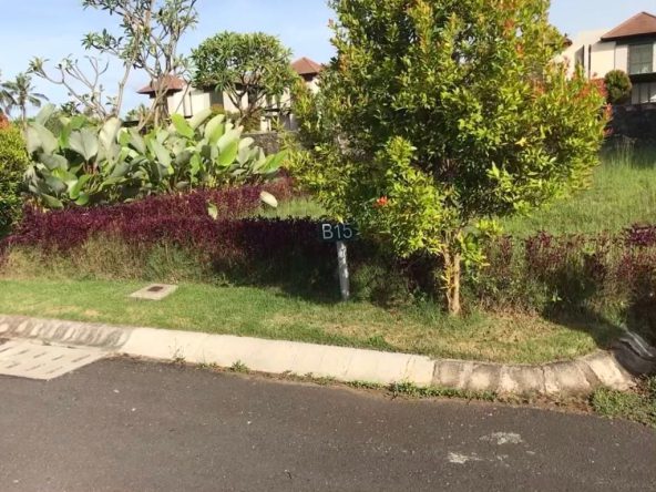 WhatsApp Image 2025 08 11 at 15.33.20