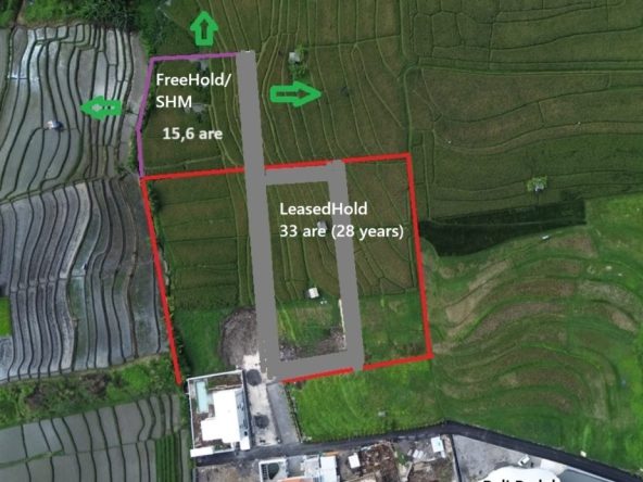 WhatsApp Image 2025 08 14 at 20.44.02