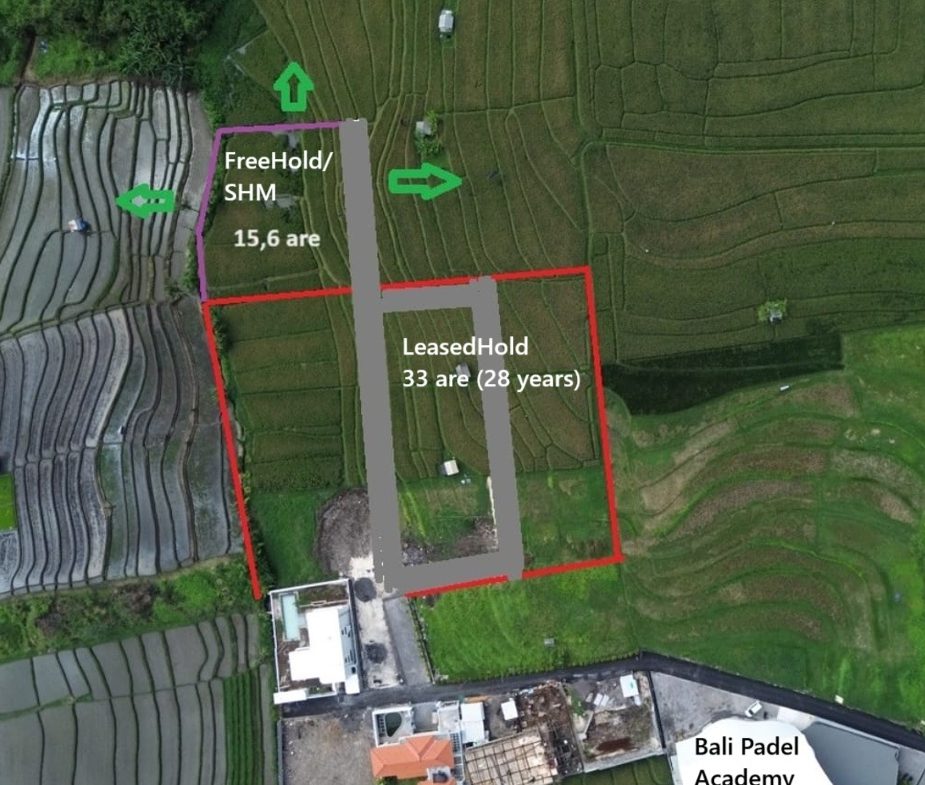 WhatsApp Image 2025 08 14 at 20.44.02