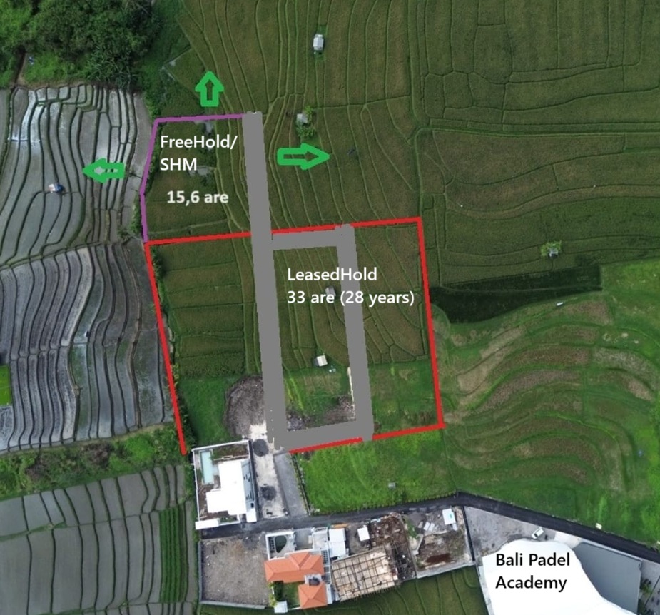 WhatsApp Image 2025 08 14 at 20.44.02