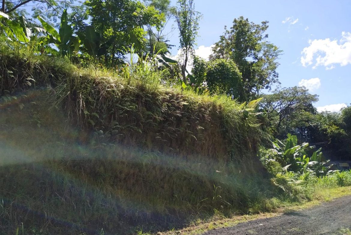 WhatsApp Image 2025 08 20 at 13.48.18 (1)